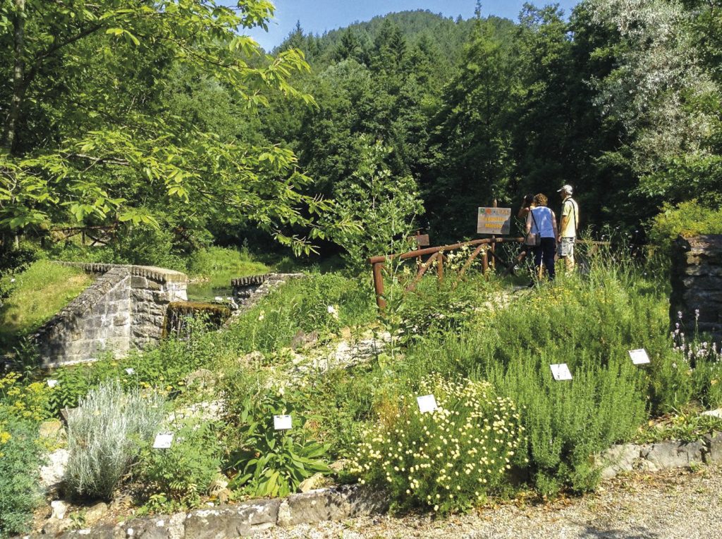 Giardino Botanico di Valbonella